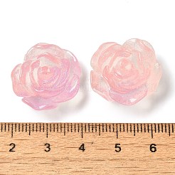 Translucent Resin Decoden Cabochons&nbsp;RESI-M041-10