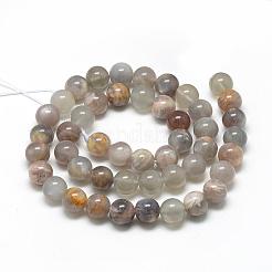 Natural Black Sunstone Beads Strands&nbsp;G-R446-10mm-33