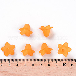 Transparent Acrylic Beads&nbsp;PLF018-08