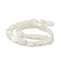 Natural Trochid Shell/Trochus Shell Beads Strands&nbsp;BSHE-G033-01
