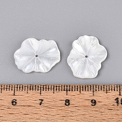 Natural White Shell Carved Leaf Beads&nbsp;BSHE-T014-31A