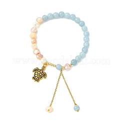 Alloy Charm Bracelets&nbsp;BJEW-JB13982-01