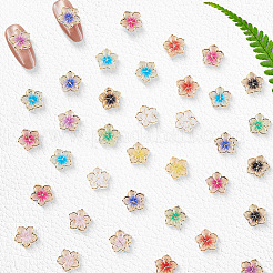 60Pcs 10 Colors Plating Acrylic Cabochons&nbsp;MRMJ-SC0001-46