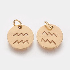 304ステンレススチールチャーム  星座/星座とフラットラウンド  ゴールドカラー  水瓶座  12x1mm  穴：3mm&nbsp;STAS-Q201-T445-11G