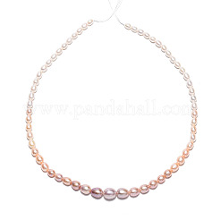 Natural Cultured Freshwater Pearl Beads Strands&nbsp;PEAR-K003-21D