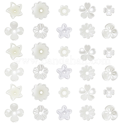 600Pcs 10 Styles ABS Plastic Imitation Pearl & Acrylic Bead Caps&nbsp;OACR-SC0002-36