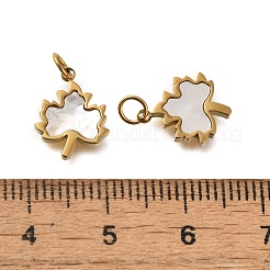 Ion Plating(IP) 304 Stainless Steel Charms&nbsp;STAS-Q335-05G
