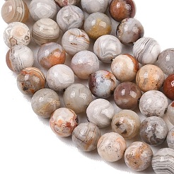 Natural Mexican Agate Beads Strands&nbsp;G-G345-B01-6mm