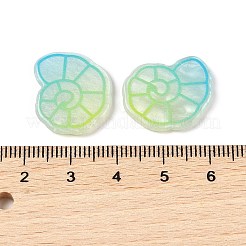 海洋動物アクリルカボション  カタツムリ  18x21x2mm&nbsp;OACR-H115-01G