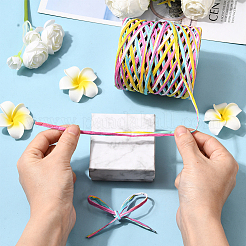 Segment Dyed Raffia Paper Cords for DIY Craft&nbsp;OCOR-WH20020-27C