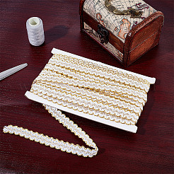 Polyester Filigree Wavy Lace Ribbon&nbsp;OCOR-WH0082-211C