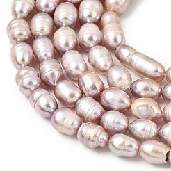 Natural Cultured Freshwater Pearl Beads Strands&nbsp;PEAR-F020-05B