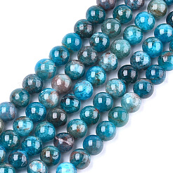 Natural Apatite Beads Strands&nbsp;G-F591-01