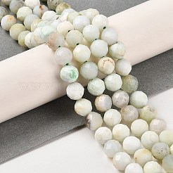 Natural Green Opal Beads Strands&nbsp;G-Z035-A02-04A
