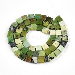 Natural Serpentine Beads Strands&nbsp;G-N346-05A-06