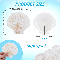 60Pcs Natural Shell Jewelry Decorative Plate&nbsp;AJEW-GA0009-64B