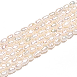 Natural Cultured Freshwater Pearl Beads Strands&nbsp;PEAR-N012-02Y-01