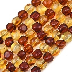 Two Tone Natural Amber Beads Strands&nbsp;G-K426-A03-05