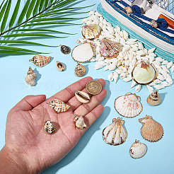 20Pcs 10 Styles Electroplated Natural Mixed Shell Pendants&nbsp;SHEL-SC0002-08