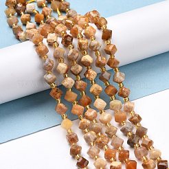 Natural Fossil Coral Beads Strands&nbsp;G-P463-48