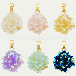 12色UVメッキ真鍮ペンダント6個  花  樹脂と  虹色の  ラックめっき  長持ちメッキ  鉛フリー＆カドミウムフリー  18KGP本金メッキ  ミックスカラー  18x16x8mm  穴：5x2mm  2個/カラー&nbsp;KK-BBC0018-81