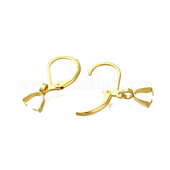 304 Stainless Steel Leverback Earring Findings&nbsp;STAS-P370-03G