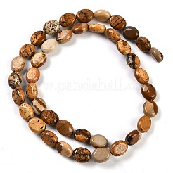 Natural Picture Jasper Beads Strands&nbsp;G-M420-D14-01
