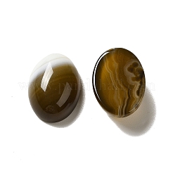 Natural Banded Agate Cabochons&nbsp;G-G975-01B-01