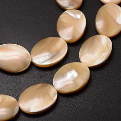 Natural Trochid Shell/Trochus Shell Beads Strands&nbsp;SSHEL-K008-03