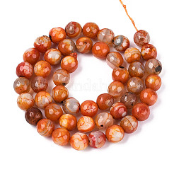 Dyed & Heated Natural Fire Crackle Agate Beads Strands&nbsp;G-N359-01A-06