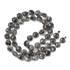 Natural Larvikite Beads Strands&nbsp;G-K389-B85-01
