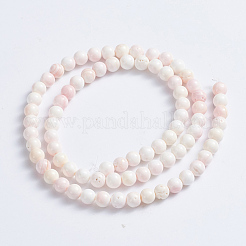 Natural Pink Shell Beads Strands&nbsp;SSHEL-L016-18A