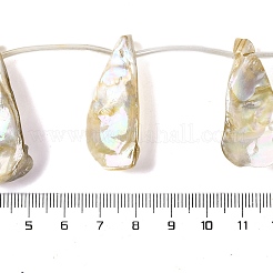 Electroplated Natural Freshwater Shell Beads Strands&nbsp;BSHE-S304-02