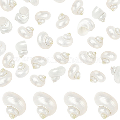 20Pcs Natural Spiral Shell Beads&nbsp;SSHEL-SC0001-56