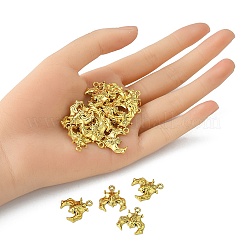 Tibetan Style Alloy Pendants&nbsp;TIBE-YW0001-02AG