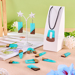 20Pcs 10 Styles Resin & Wood Pendants&nbsp;WOOD-TA0002-67D