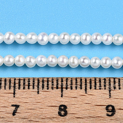 天然有核パールビーズ連売り  ラウンド  乳白色  2~2.5mm  穴：0.4mm  約166~168個/連  15.24~15.39''（38.7~39.1センチメートル）&nbsp;PEAR-N016-02B