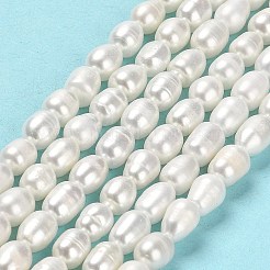 天然養殖淡水パールビーズ連売り  ライス  グレードA  パパイヤホイップ  6~7x5~5.5mm  穴：0.7mm  約52個/連  13.78インチ（35cm）&nbsp;PEAR-E016-132