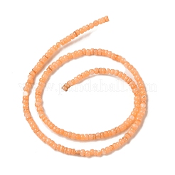 天然淡水シェルビーズ連売り  染め  ロンデル  サンゴ  3x2mm  穴：0.5mm  約183~186個/連  14.96''（38センチメートル）&nbsp;SHEL-P017-01B-05