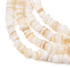 Natural Freshwater Shell Beads Strands&nbsp;SH-CBA2978-01
