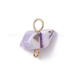 Dyed Natural Trochid Shell Connector Charms&nbsp;PALLOY-JF04585
