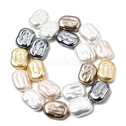 Electroplated Glass Shell Pearl Beads Strands&nbsp;BSHE-B009-F01-01