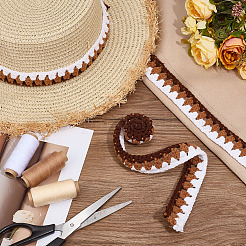 Cotton Lace Ribbon&nbsp;DIY-WH0504-724A