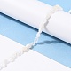 Natural Rainbow Moonstone Beads Strands&nbsp;G-G018-48-4
