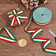 Polyester Braid Ribbon&nbsp;OCOR-WH0816-012B-1-4