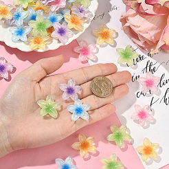 50Pcs 5 Colors Transparent Resin Cabochons&nbsp;RESI-SC0006-24