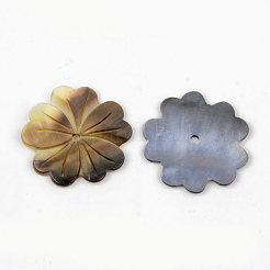 Natural Black Lip Shell Beads&nbsp;SHEL-R049-011