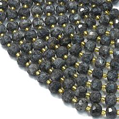 Natural Labradorite Beads Strands&nbsp;G-K389-E75-01