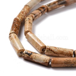 Natural Picture Jasper Beads Strands&nbsp;G-D464-13