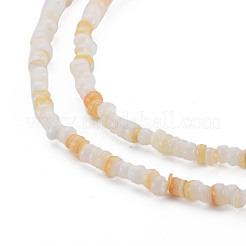 天然淡水シェルビーズ連売り  ヒシビーズ  フラットラウンド/ディスク  貝殻色  3~4x0.3~3mm  穴：0.6mm  約215~218個/連  14.96インチ〜15.16インチ（38cm〜38.5cm）&nbsp;SHEL-S278-066C